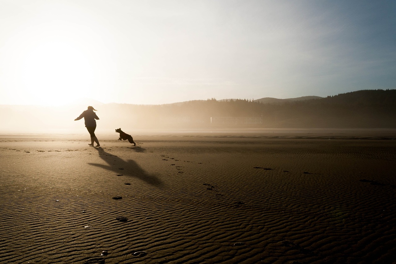 Happy golden retriever on Bournemouth beach